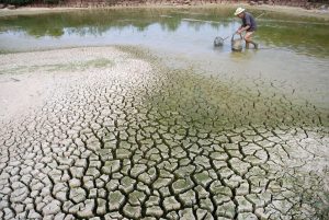 Bài luận tiếng anh về biến đổi khí hậu tại Việt Nam